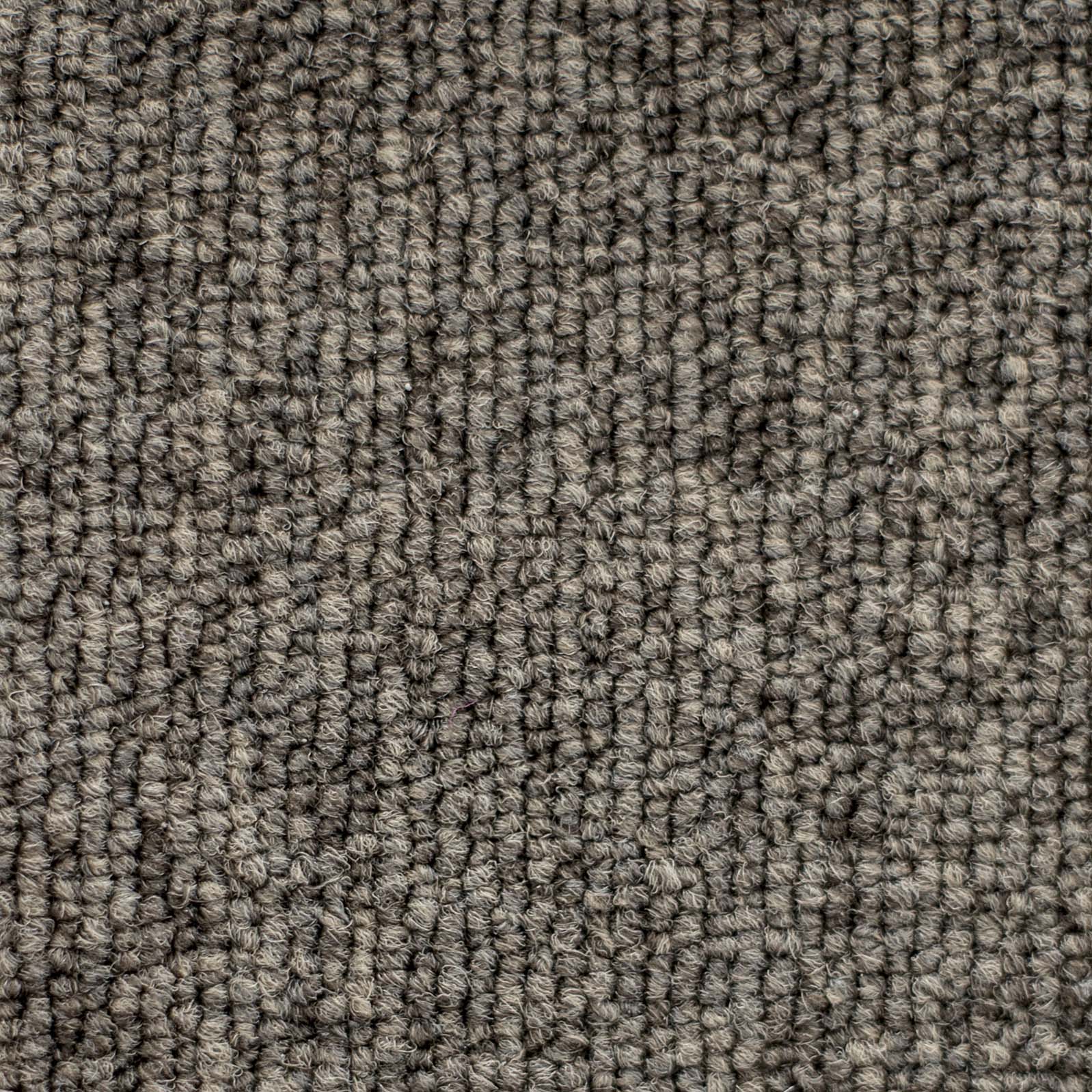 Ковролин "Зартекс" Daily 68 коричневый (4м) — купить в Рубцовске