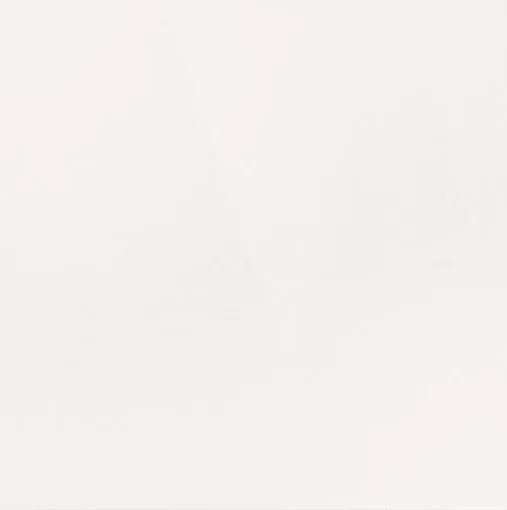 Керамогранит UF001PR 600*600 полированный белый — купить в Рубцовске