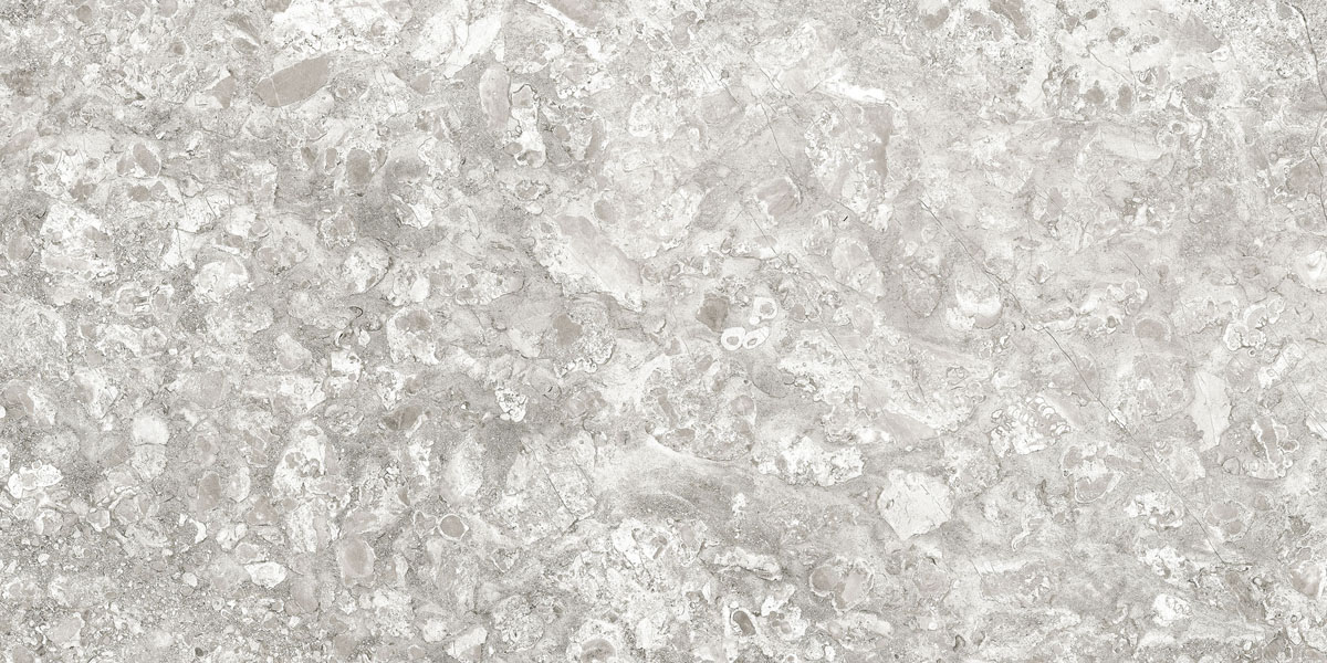 Керамогранит Lunar (Лунар) 600x1200 светло-серый MR — купить в Рубцовске