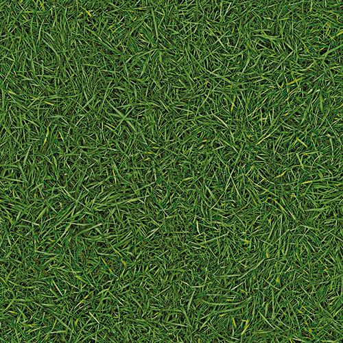 Линолеум бытовой "IVC" Bingo Grass 25 (3м) — купить в Рубцовске