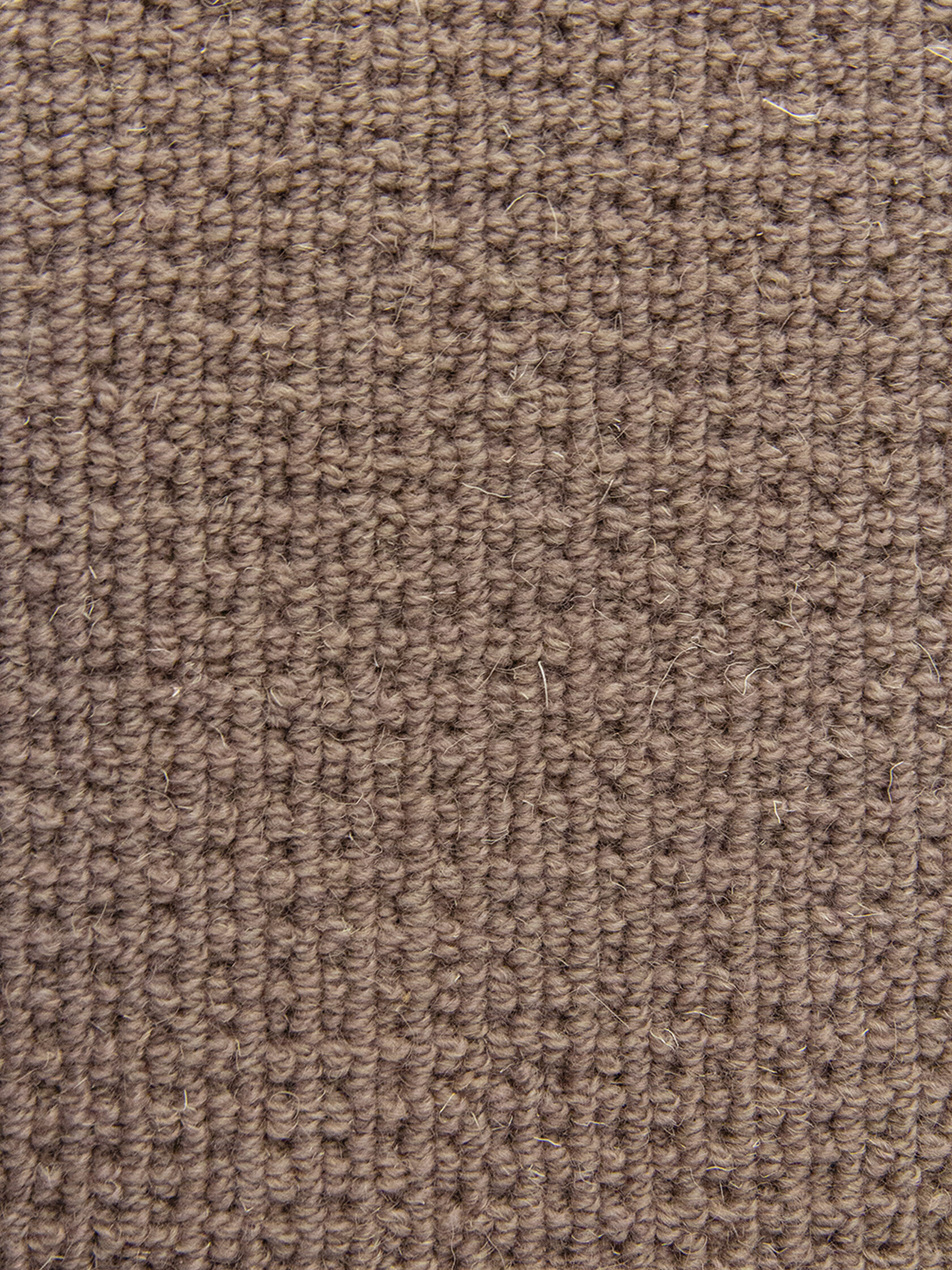 Ковровое покрытие "Bonkeel" Welfare Brown (ширина 4м) — купить в Рубцовске