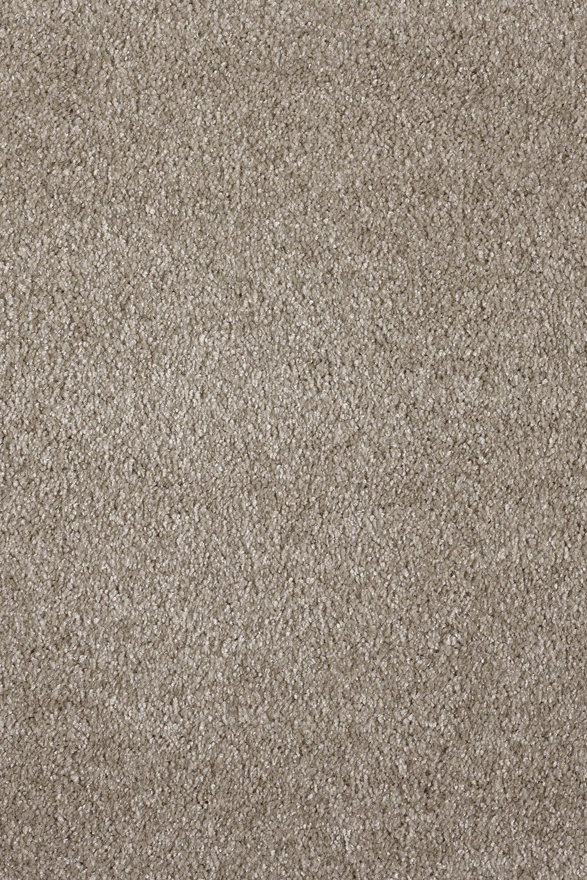 Ковровое покрытие "Bonkeel" Parana 34 (ширина 4м/5м) — купить в Рубцовске