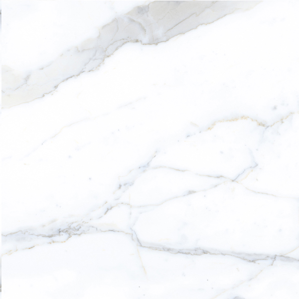 Керамогранит Pallisandro (Паллисандро) 600x600 классик MR — купить в Рубцовске