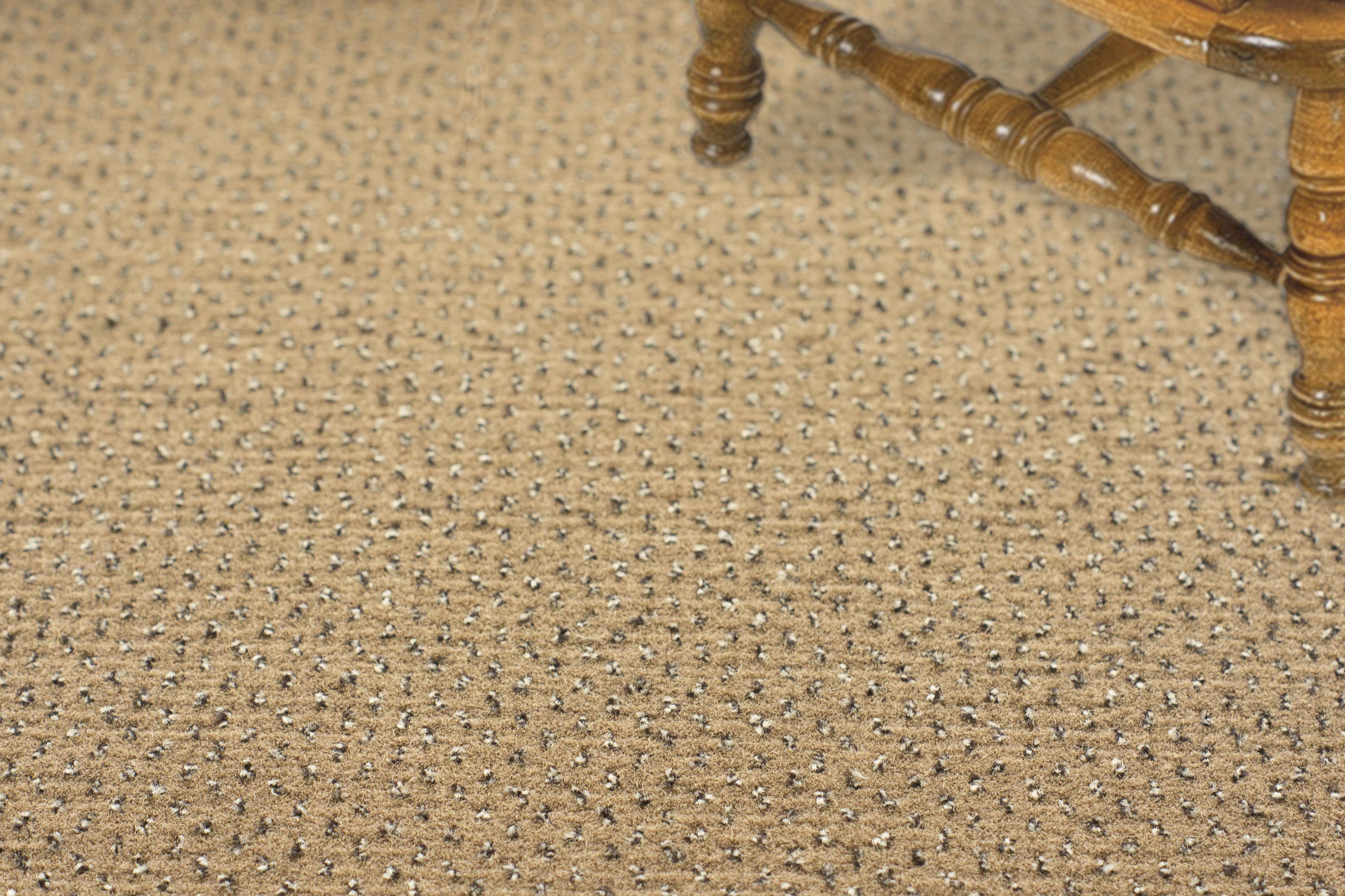 Ковролин "Зартекс" Eternity 142 бежевый (4м) — купить в Рубцовске