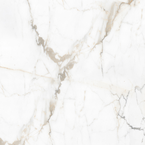 Керамогранит Pallisandro (Паллисандро) 600x600 оро LLR — купить в Рубцовске