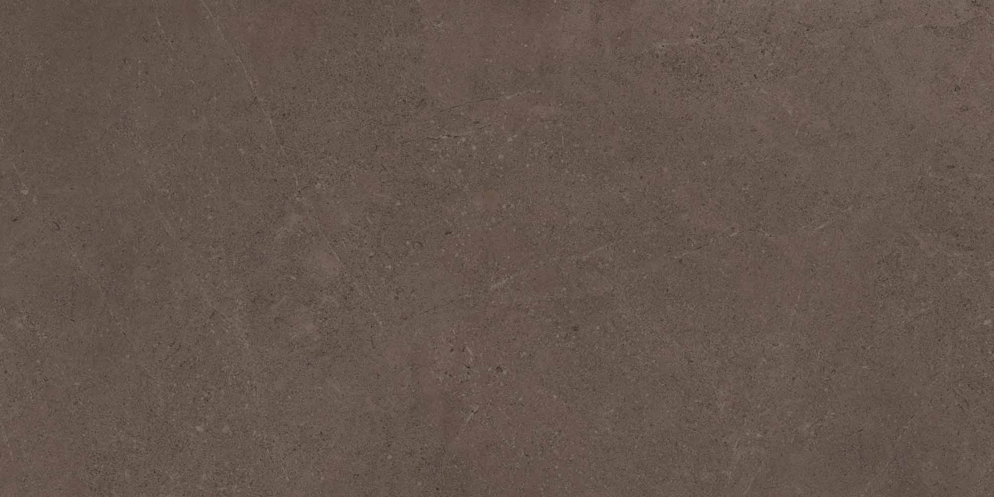 Керамогранит Gobi Brown Grey 600x1200 неполированный ректификат GO03 — купить в Рубцовске