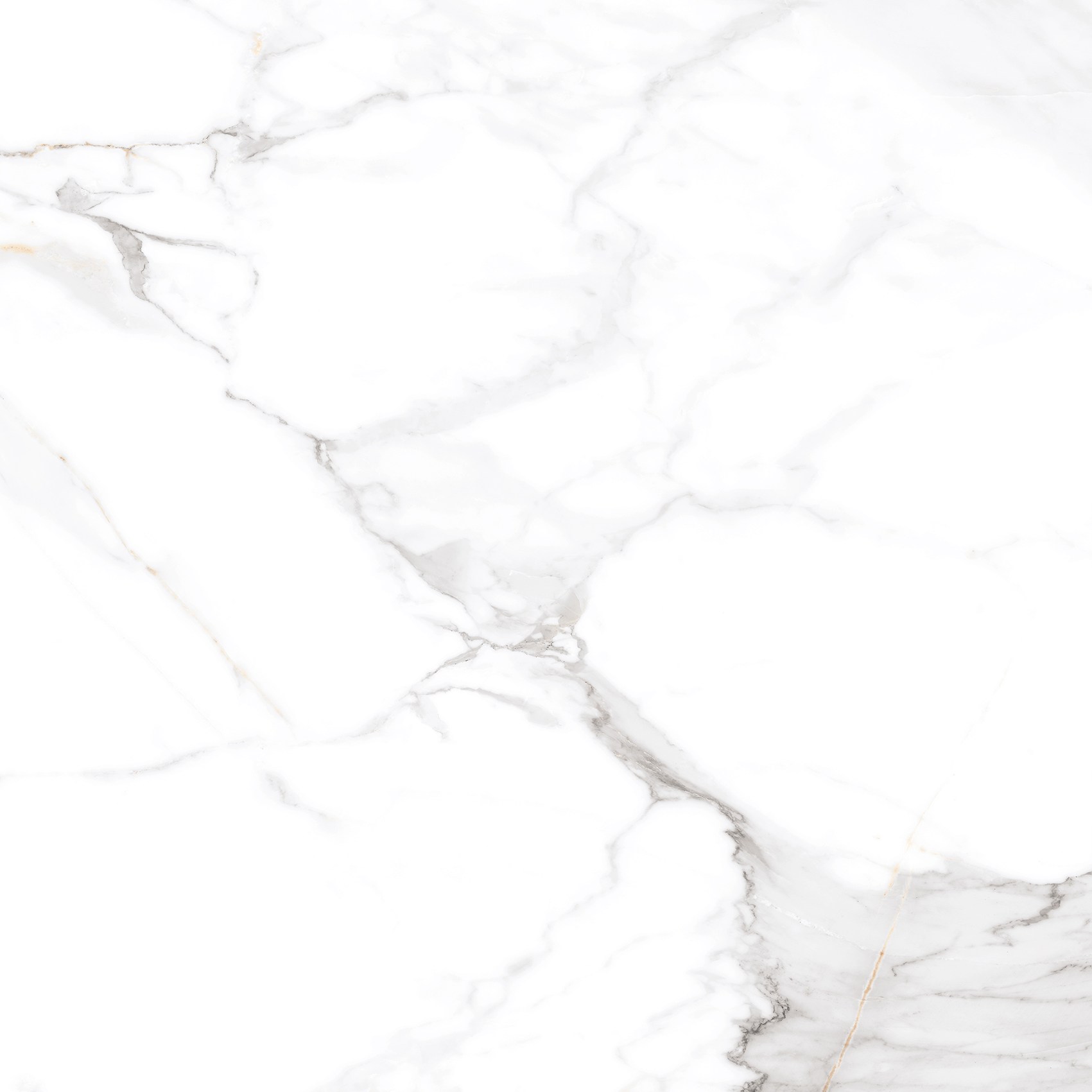 Керамогранит "Eternal" Calacatta (600*600 мм) Белый — купить в Рубцовске