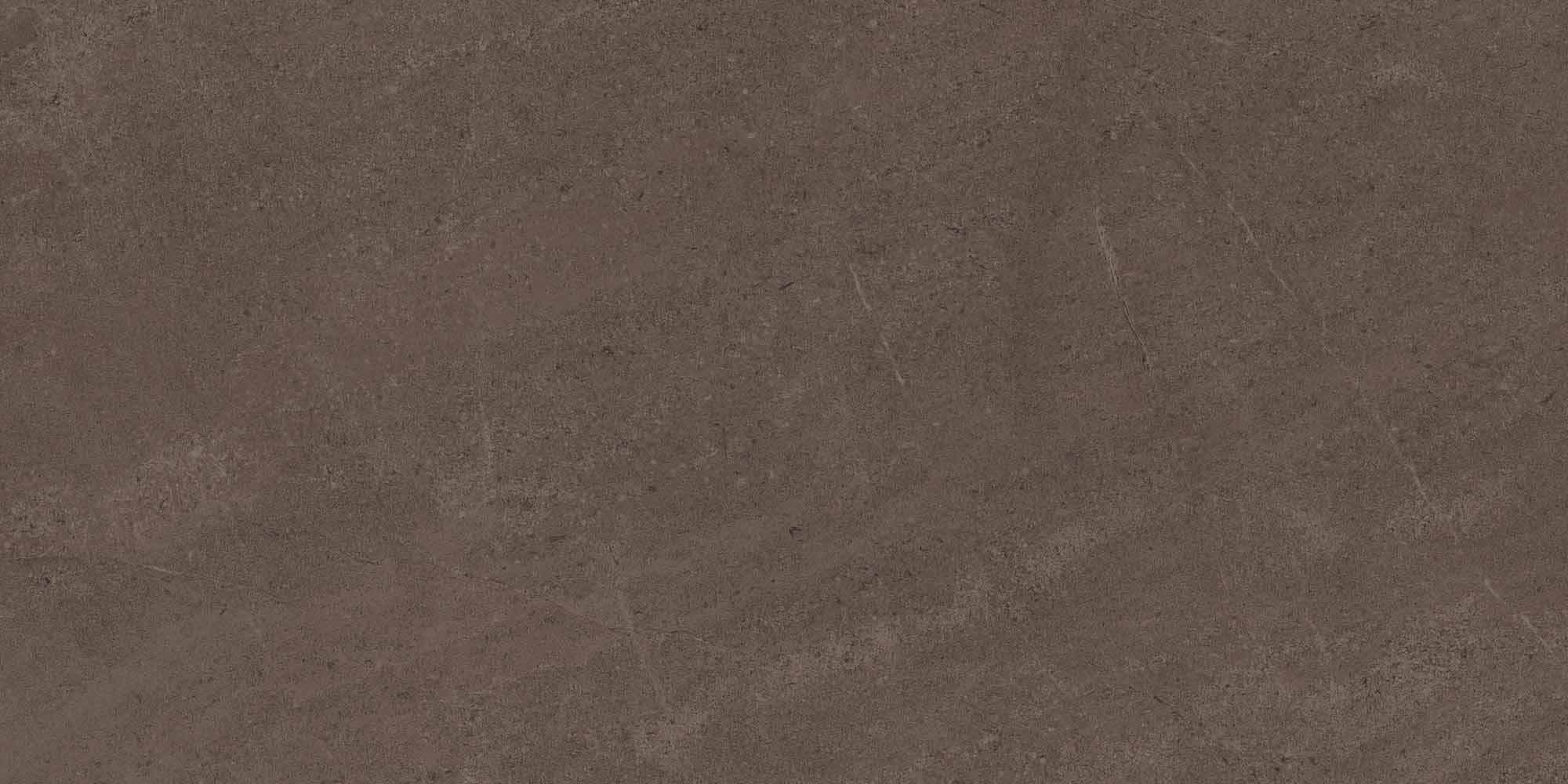 Керамогранит Gobi Brown Grey 600x1200 неполированный ректификат GO03 — купить в Рубцовске