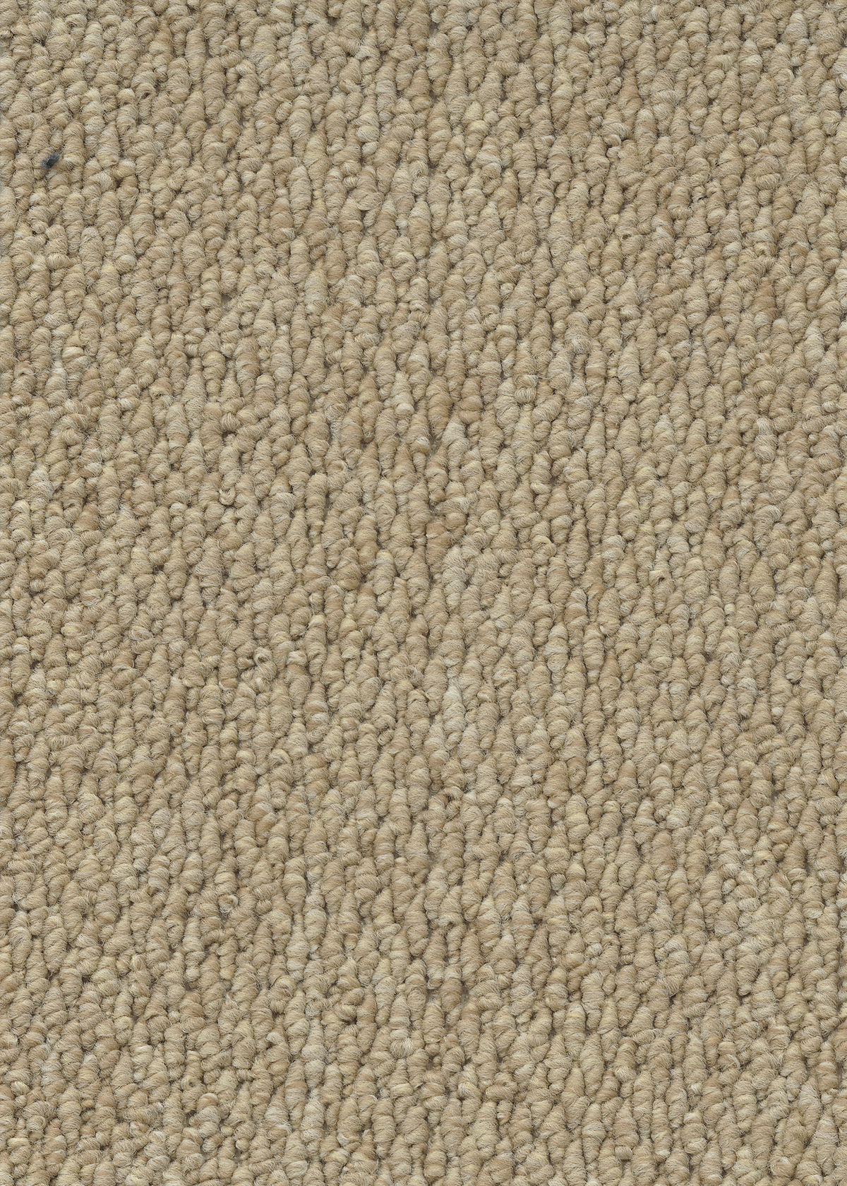 Ковровое покрытие "Bonkeel" Skye 50 (ширина 4м) — купить в Рубцовске