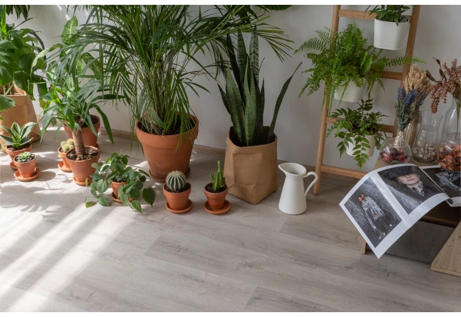 SPC ламинат Дуб Ален (1220*181*3,7 мм) — купить в Рубцовске